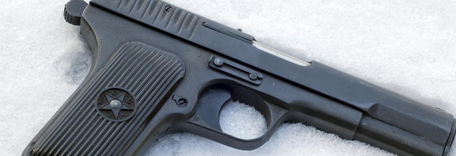 Tokarev TT33